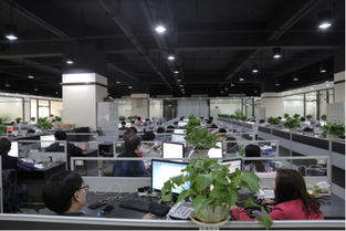 走訪歡酷 以技術(shù)轉(zhuǎn)讓為紐帶，筑牢產(chǎn)品安全與質(zhì)量的基石