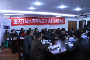 江城水務技術交流盛會圓滿落幕 聚焦前沿，共謀發展